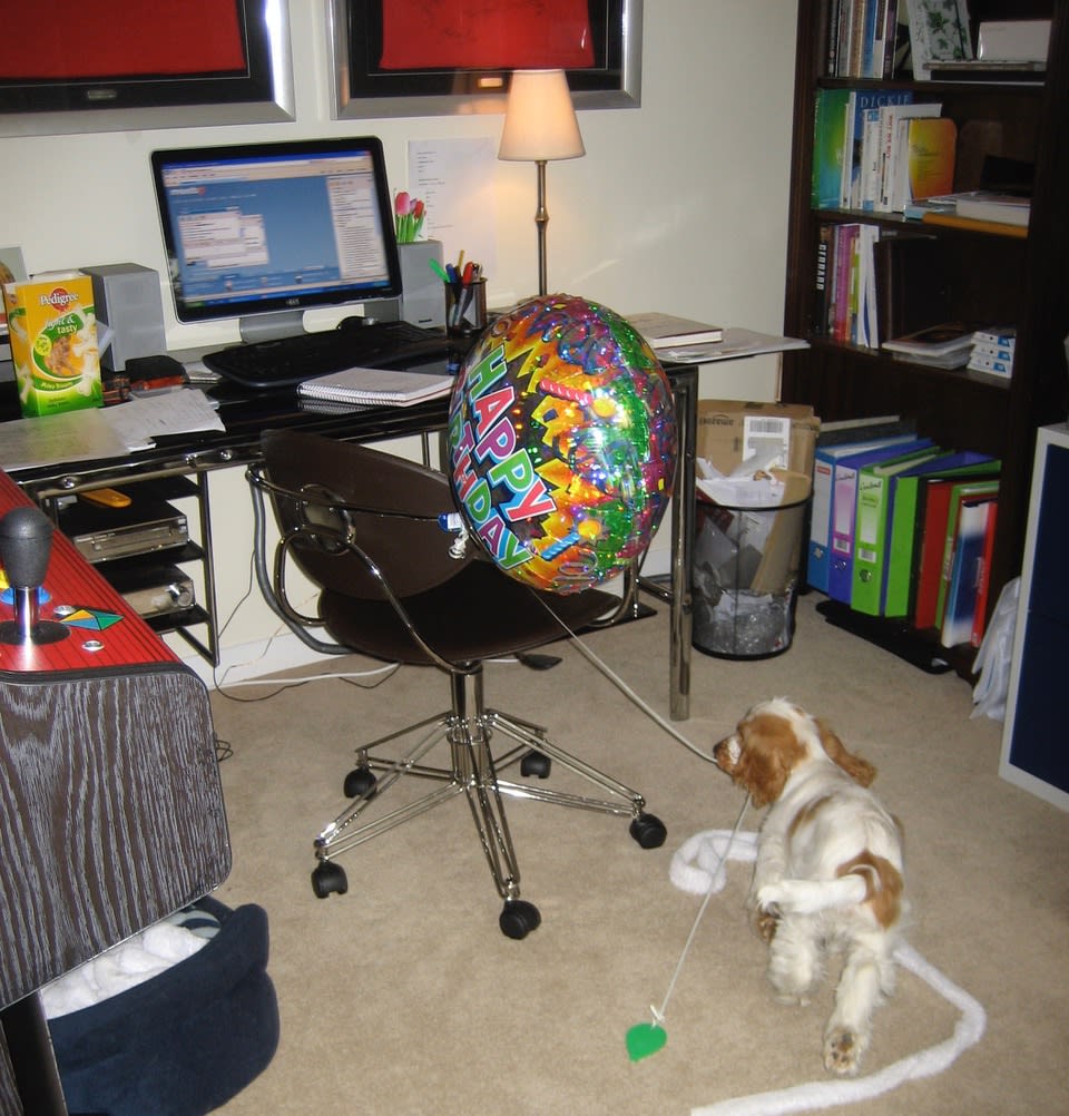 Home Leisure Direct - Charlie in the Office